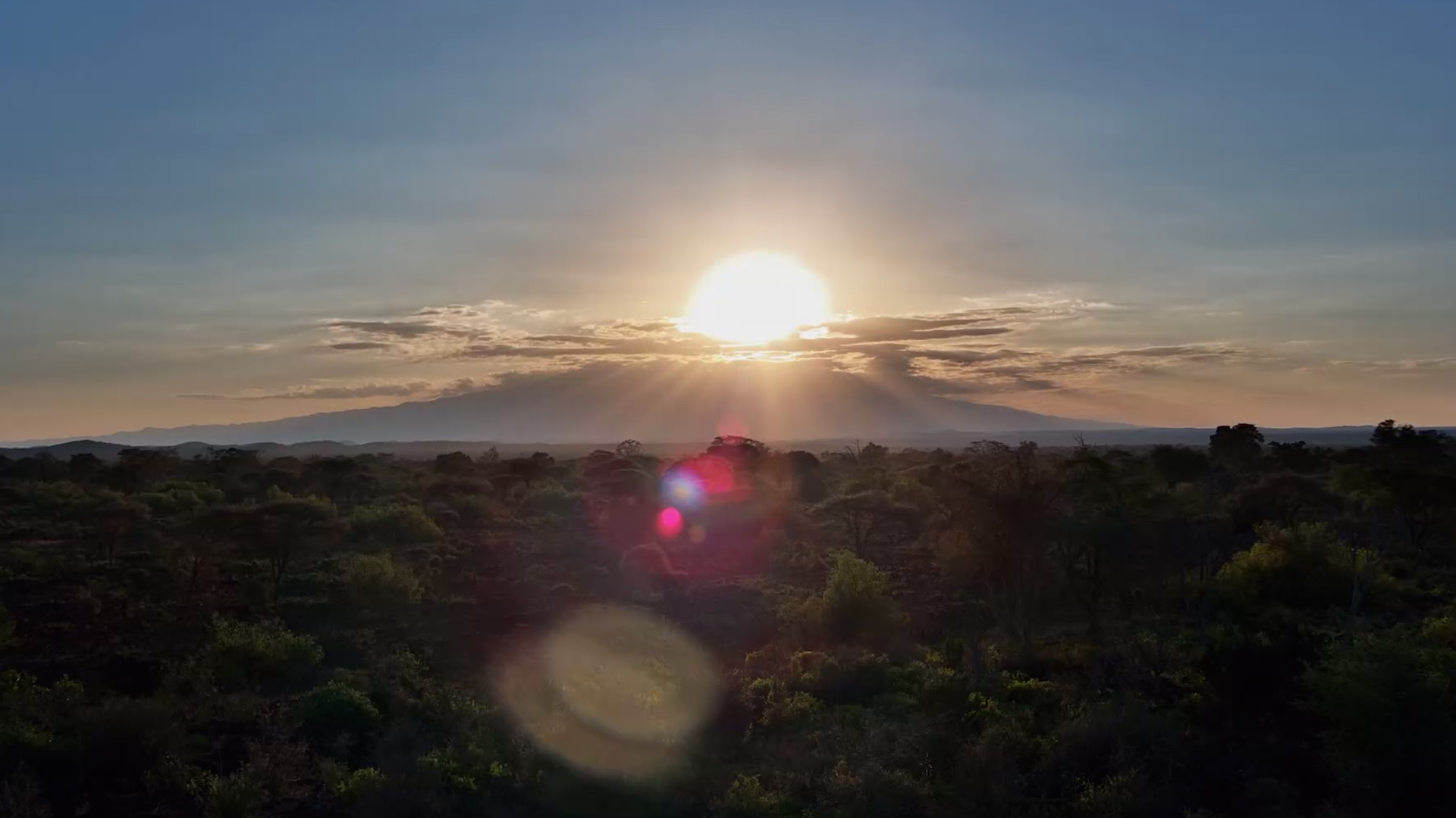 Golden Hour Over the African Bush