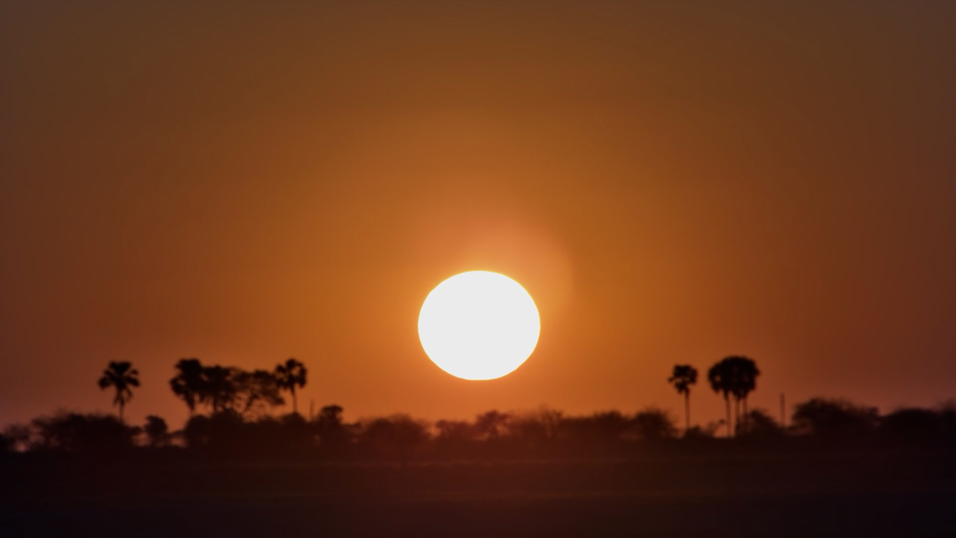 Botswana Magic: Sun Sets Over Jack’s Camp