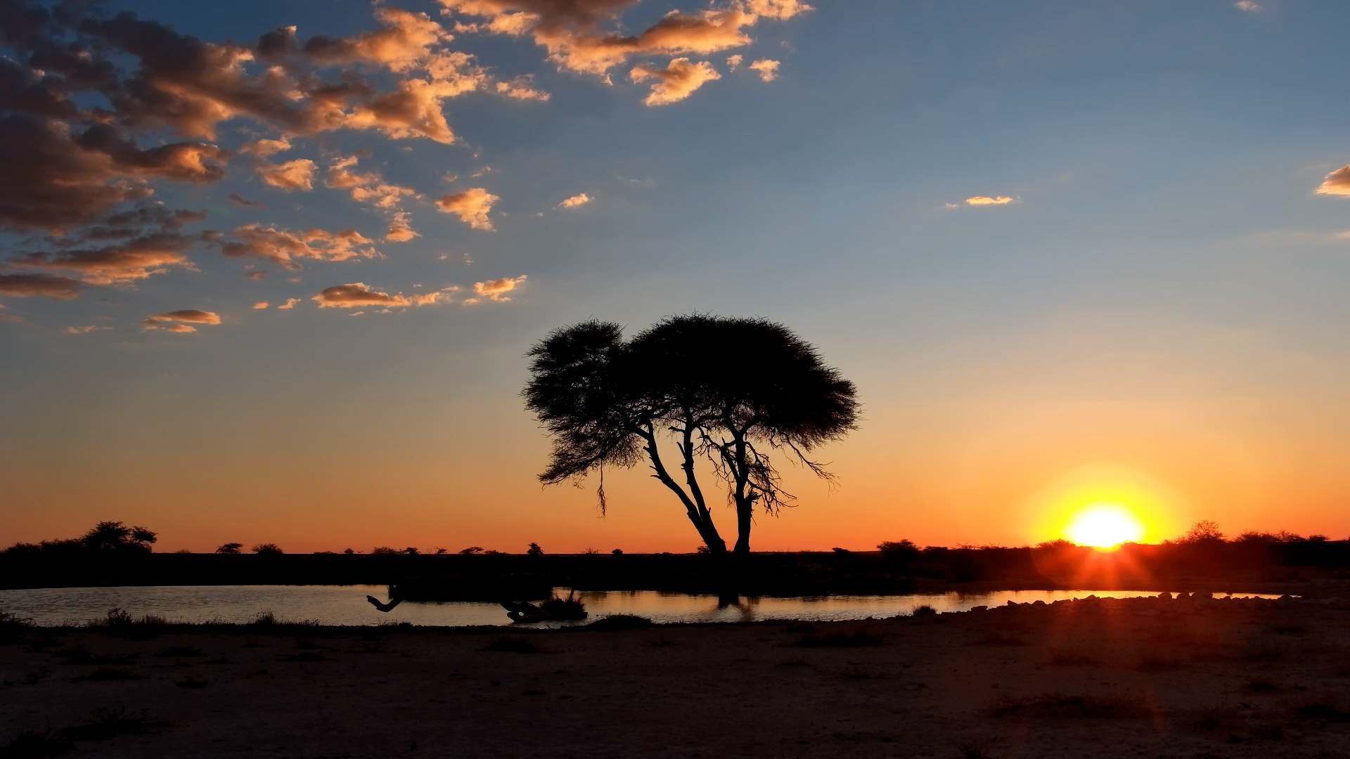 Onguma Magic: Stunning Sunset Over Namibia