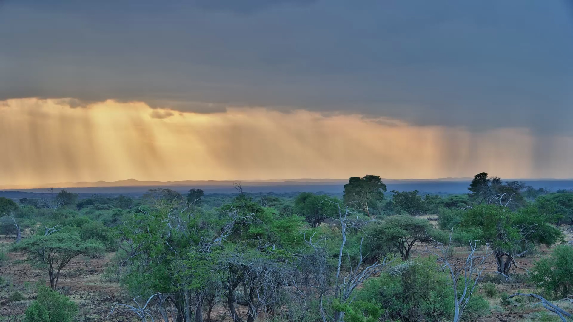 Moody Skies Over Finch Hattons - Timelapse Magic