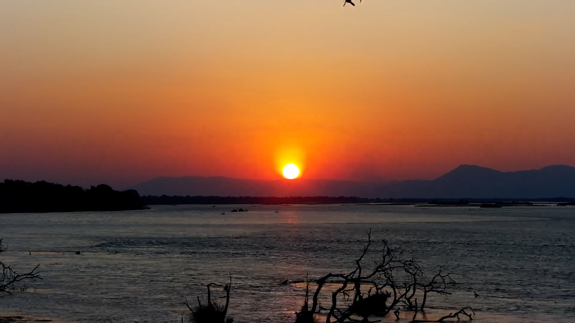 Peaceful Evening: River Sunset at Tembo Plains
