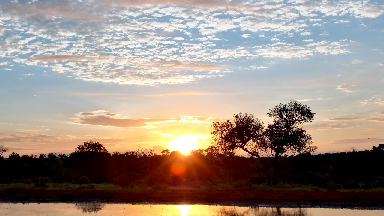 Nature’s Alarm Clock: Sunrise Over Kings Camp