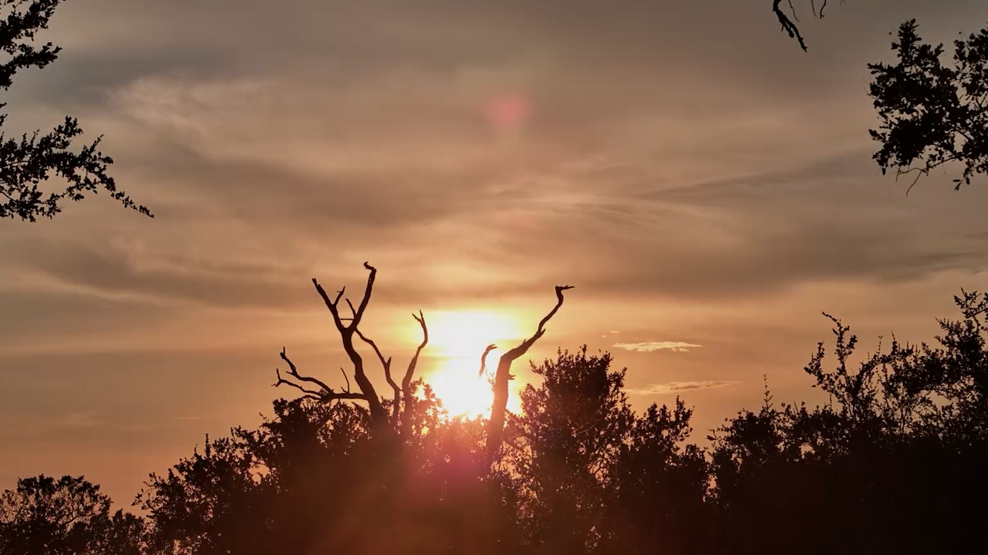 Golden Dawn: Sunrise Over Roy’s Dam