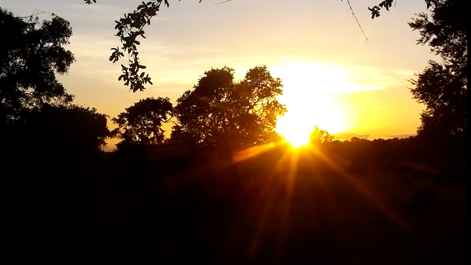 Zambezi at First Light