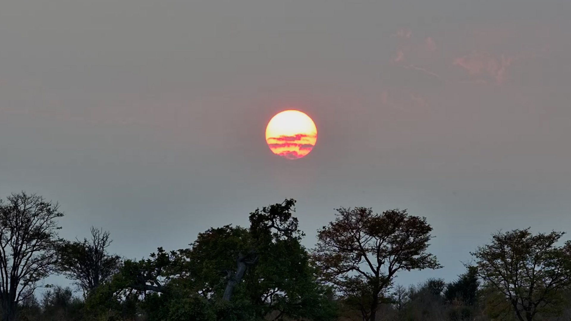 Morning Arrives at Deteema Springs