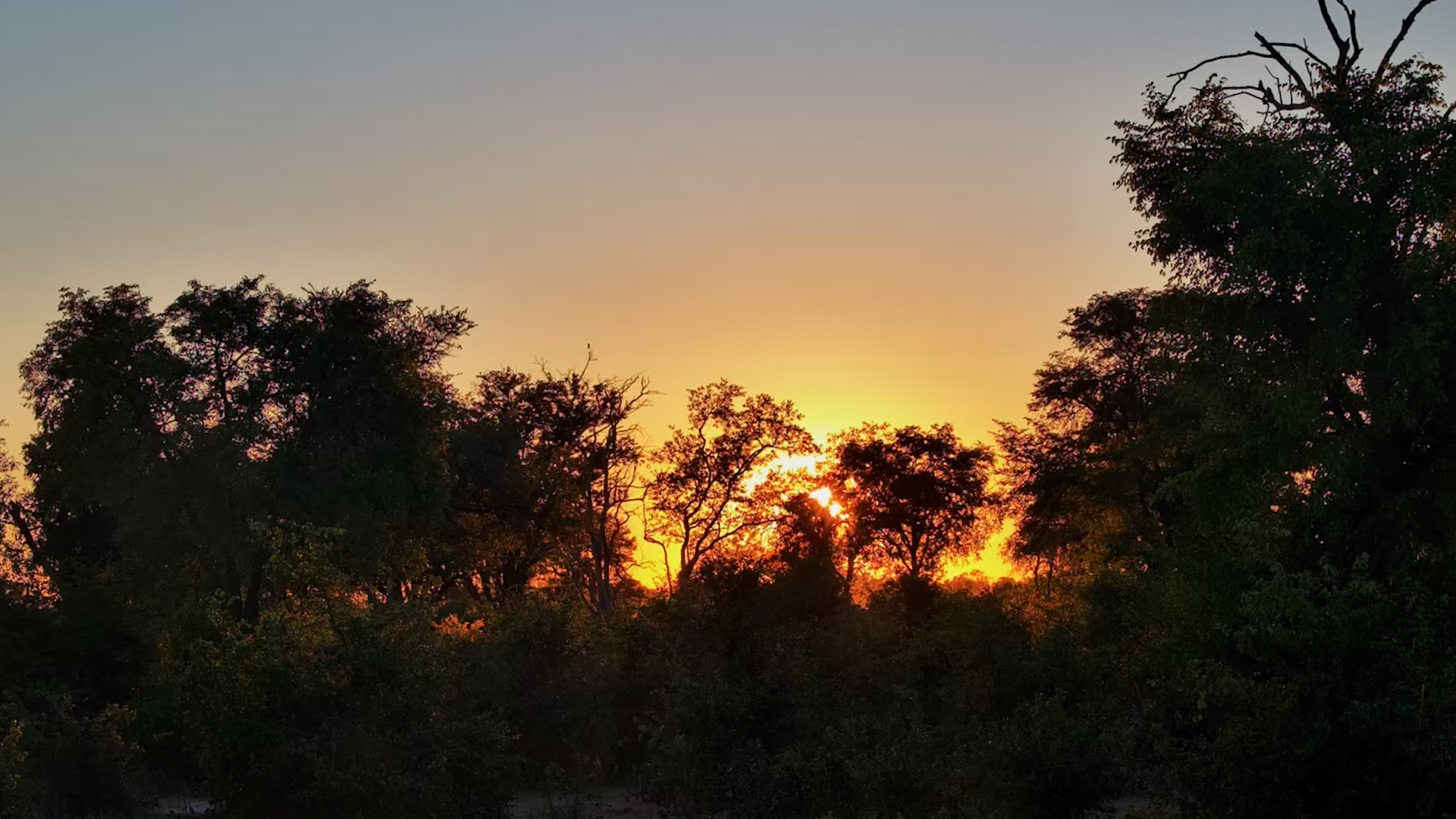 Botswana Wakes Up