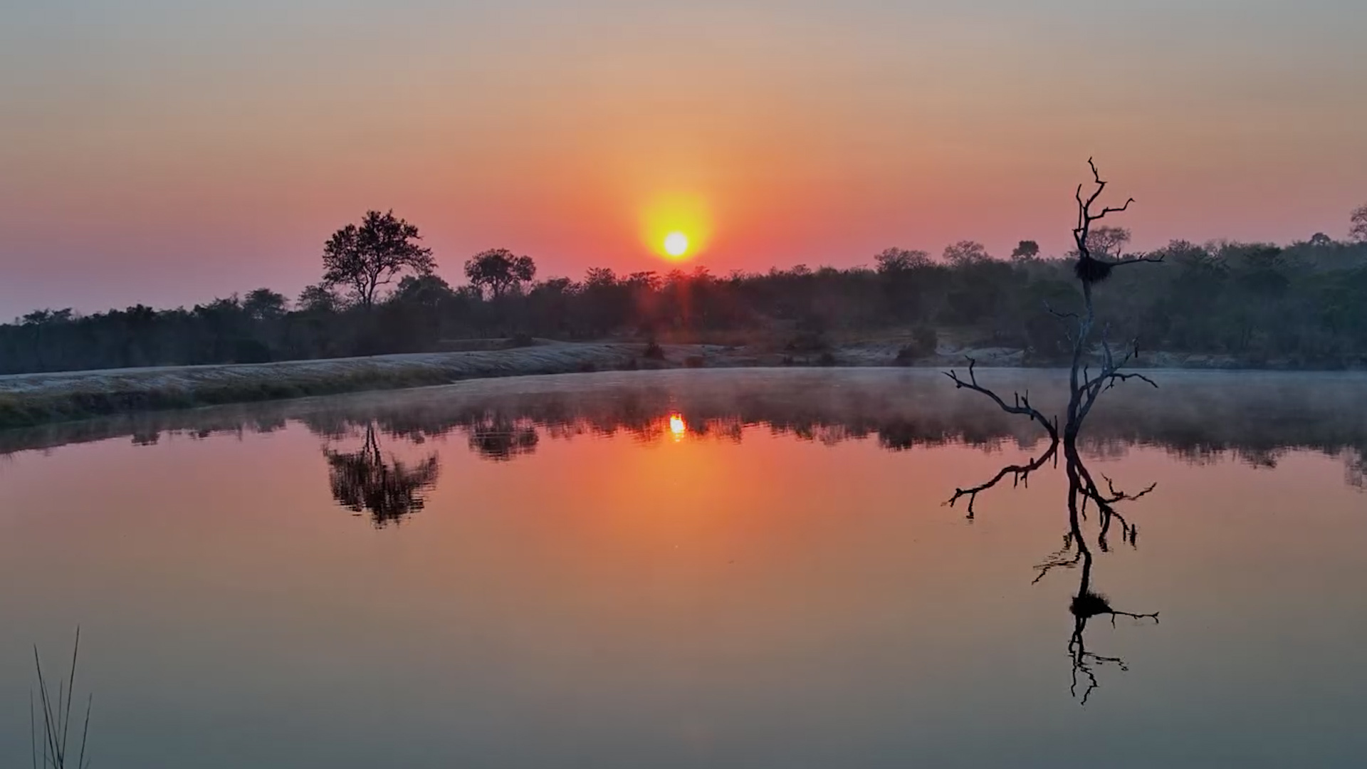 Sunrise at Ulusaba Is Pure Magic