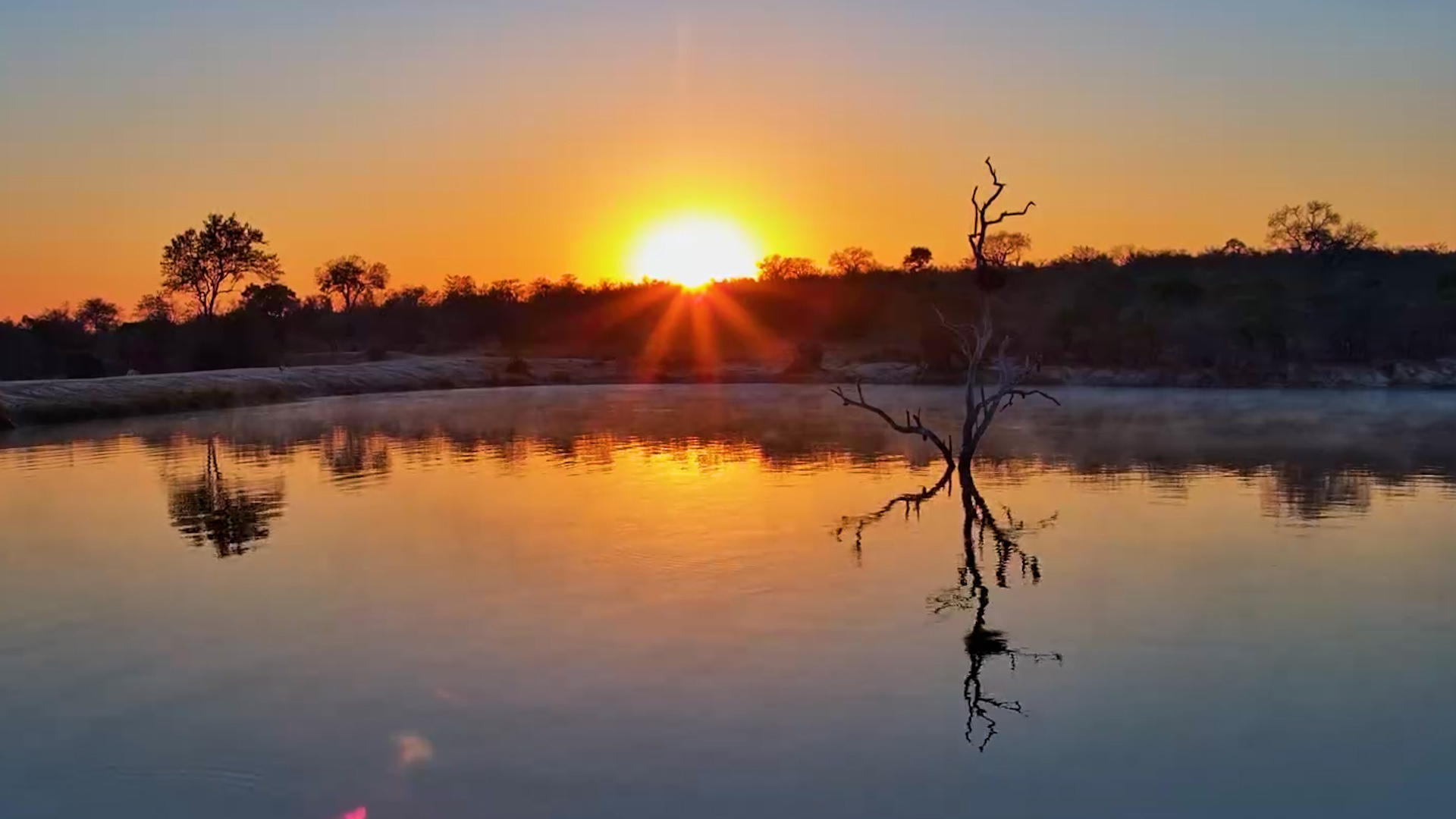 Morning Magic at Ulusaba