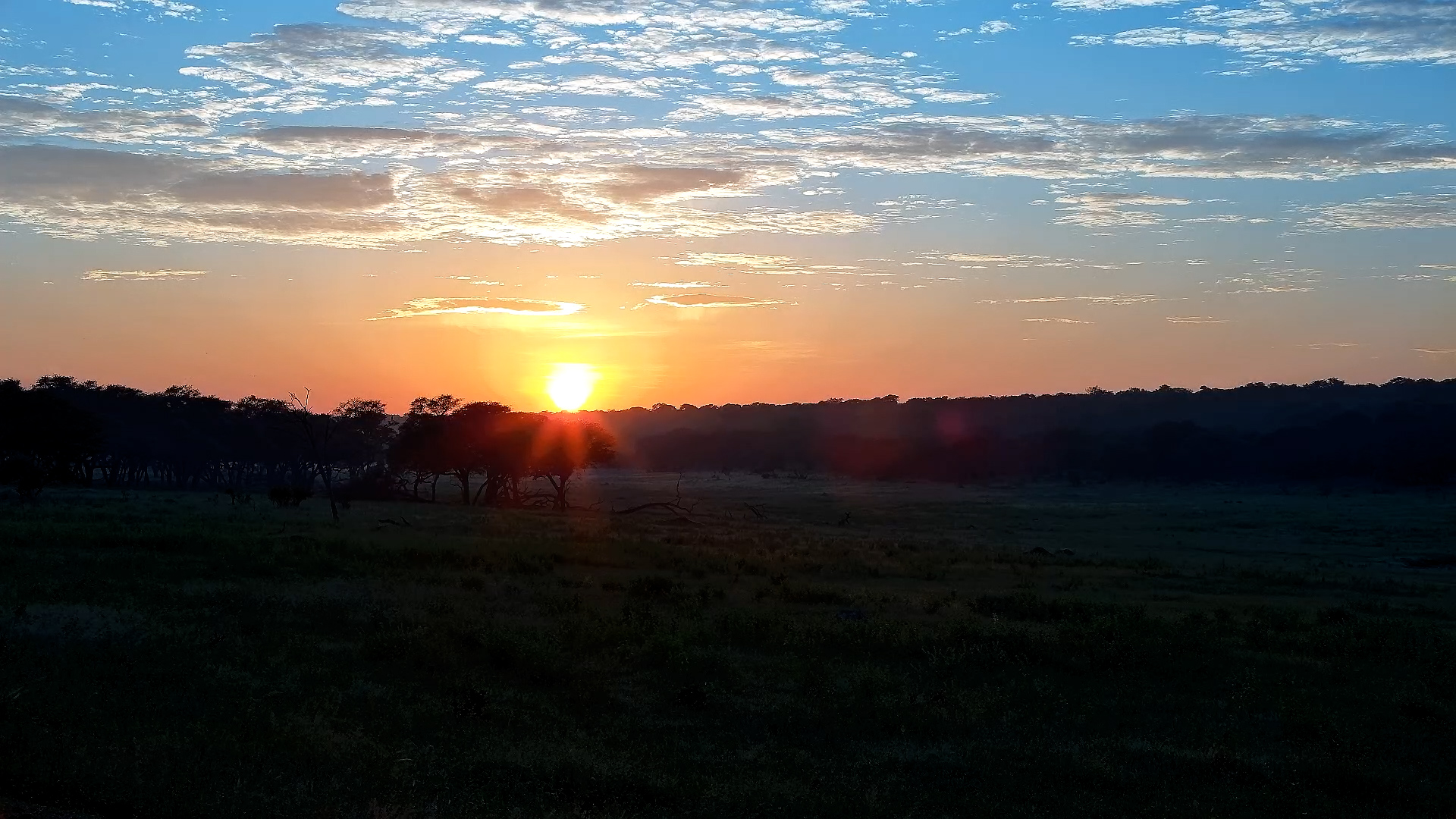 Wake Up in the Wild: Sunrise Timelapse at Hwange