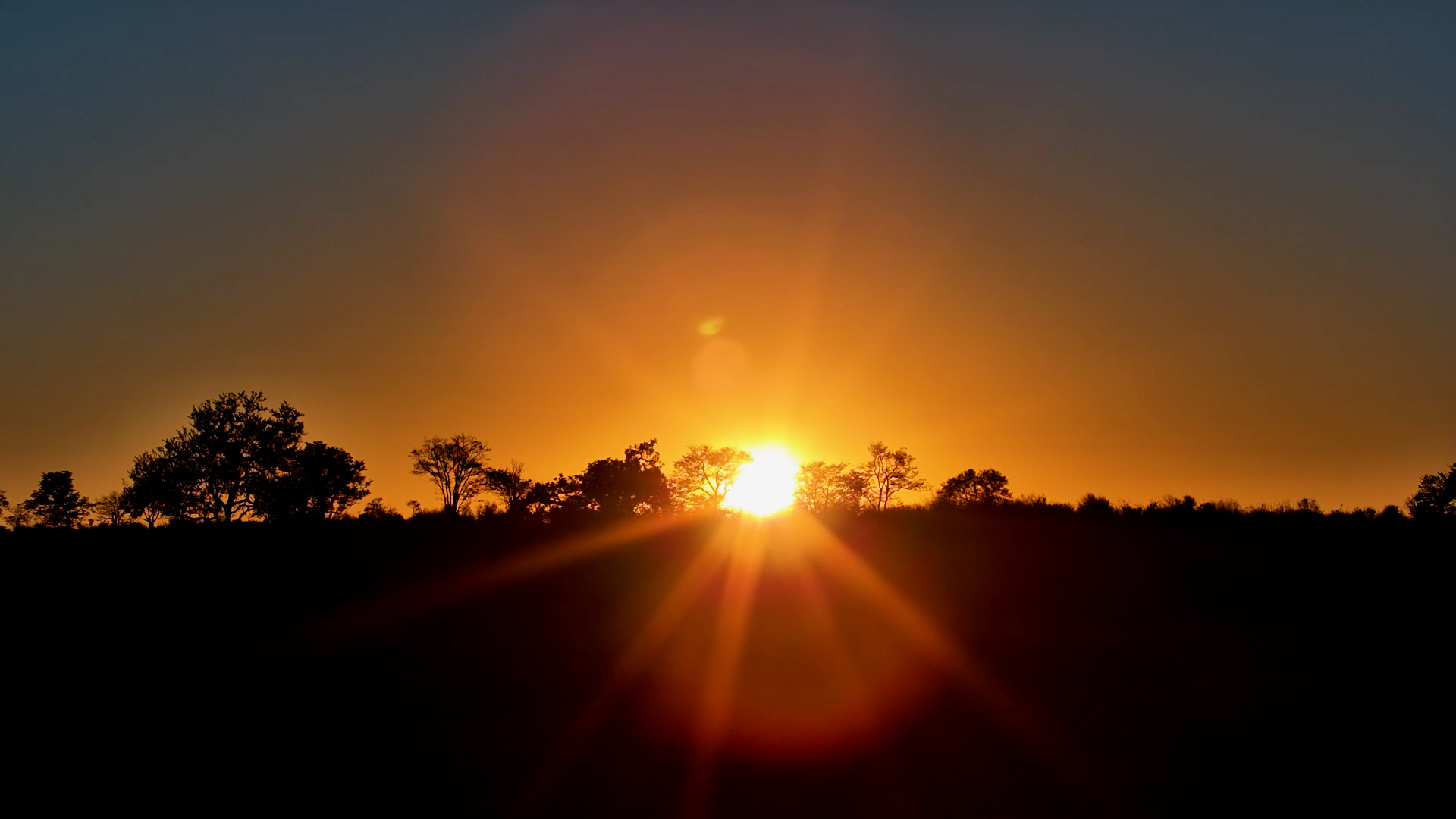 Africa Wakes Up in a Blaze of Colour