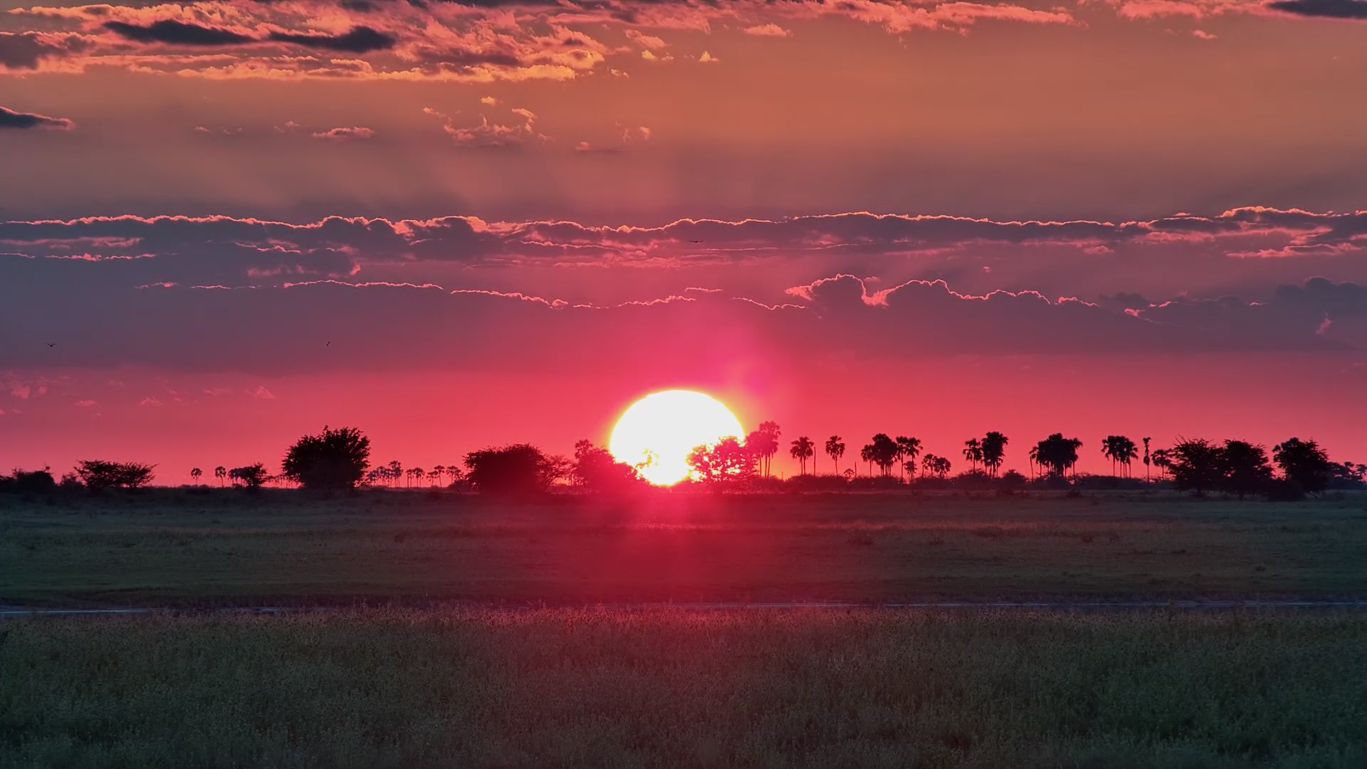 When the Kalahari Glows