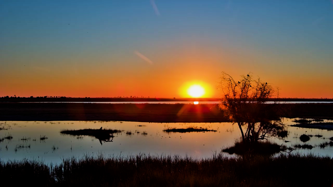 The Makgadikgadi Put on a Show Again