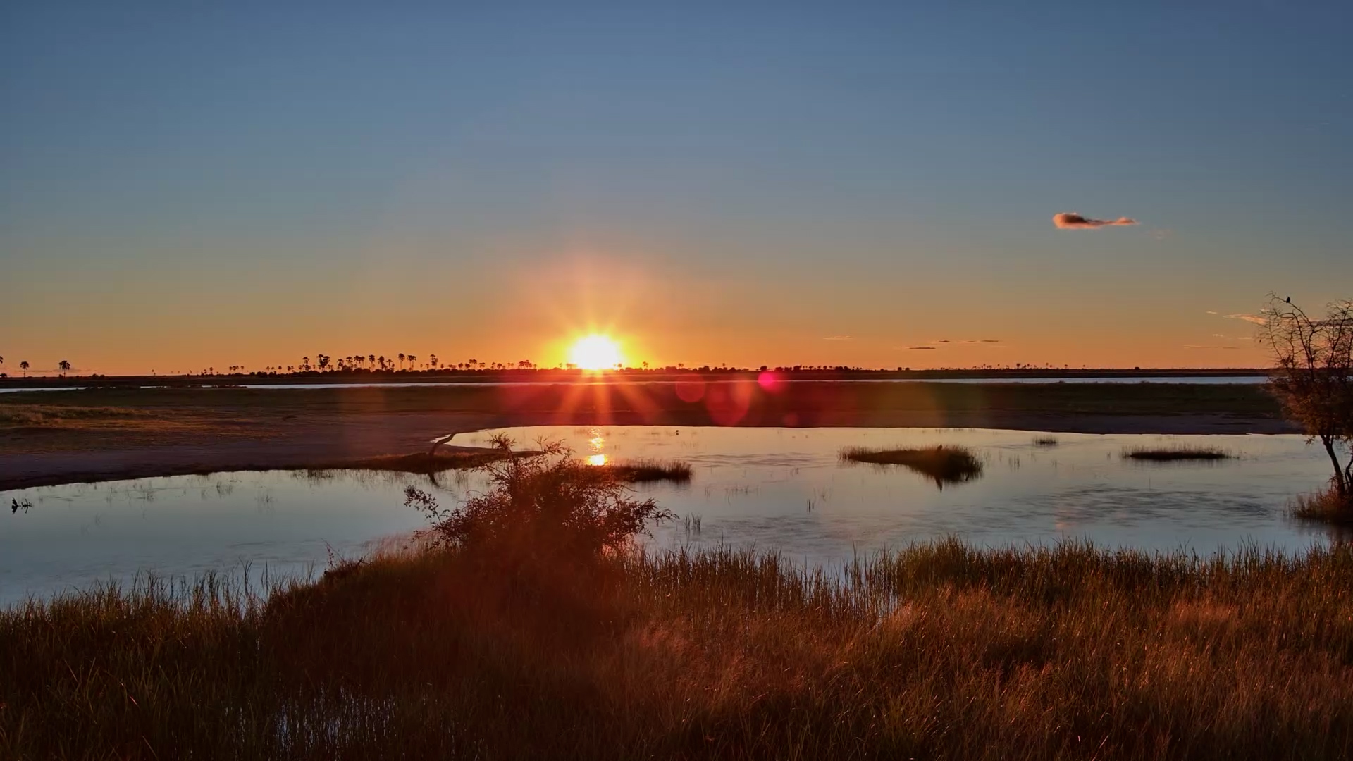 Golden Hour at Jack’s Camp