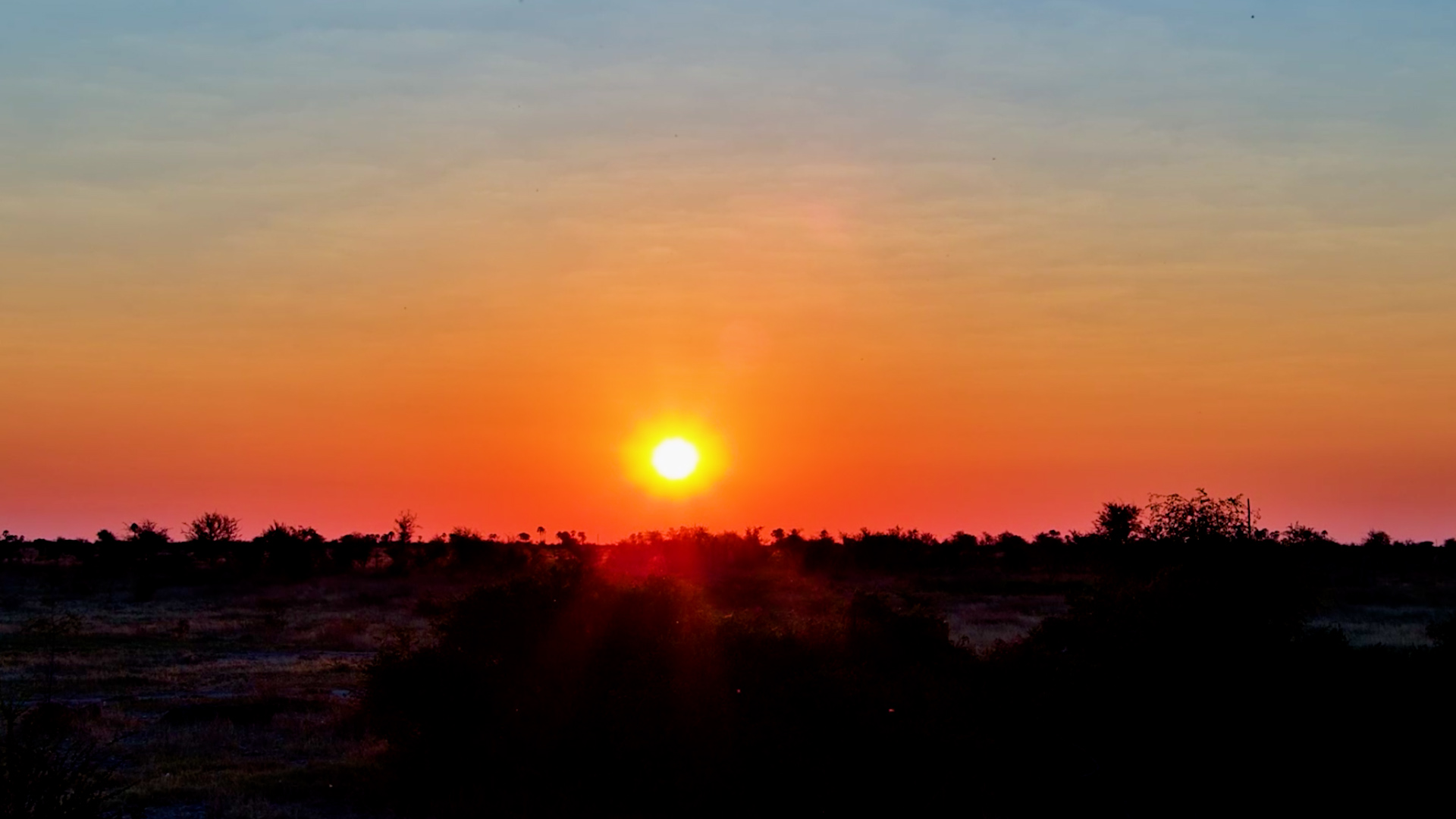 Pure Kalahari Magic
