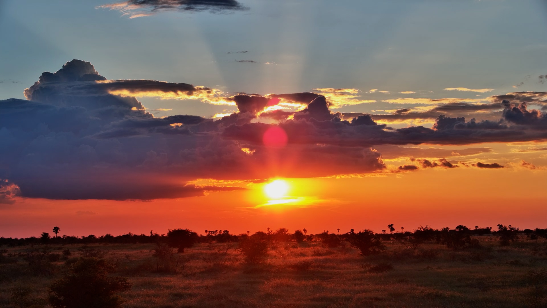 From Day to Dusk… Kalahari in Motion