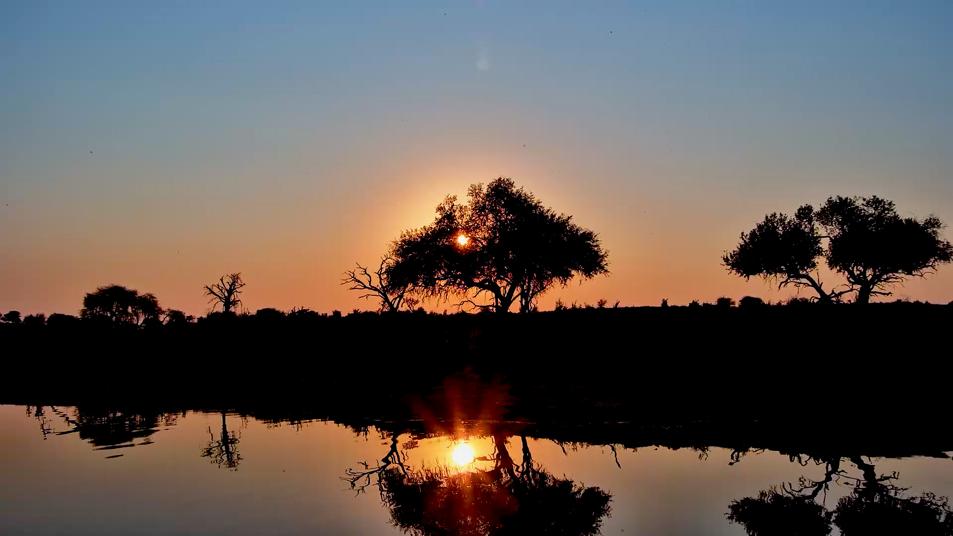 Nature's Perfect Evening Show