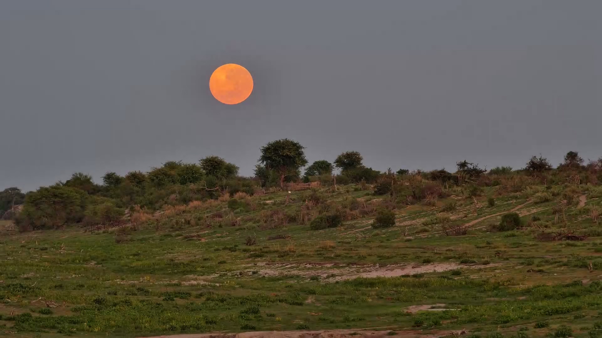 Watch the Moon Glide Away at Dawn