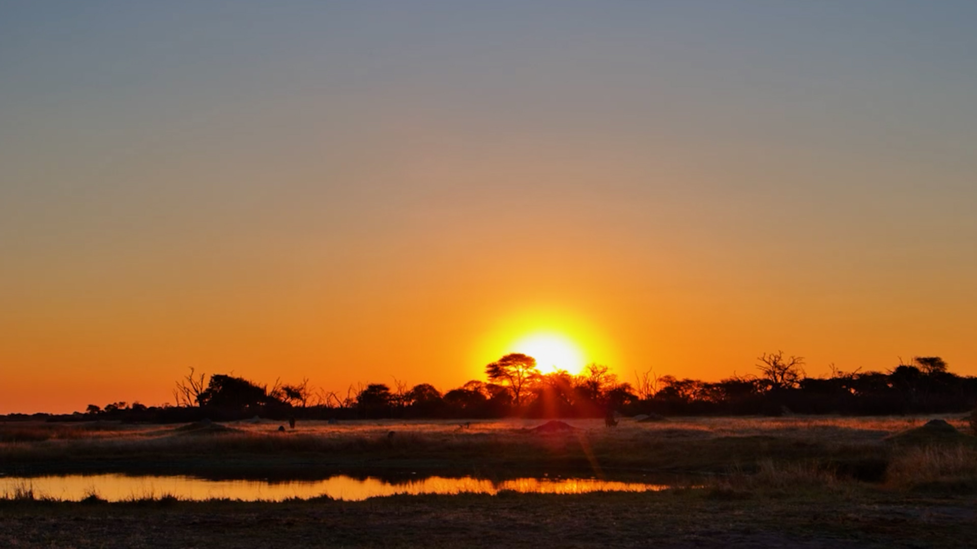 Hwange at Its Most Beautiful