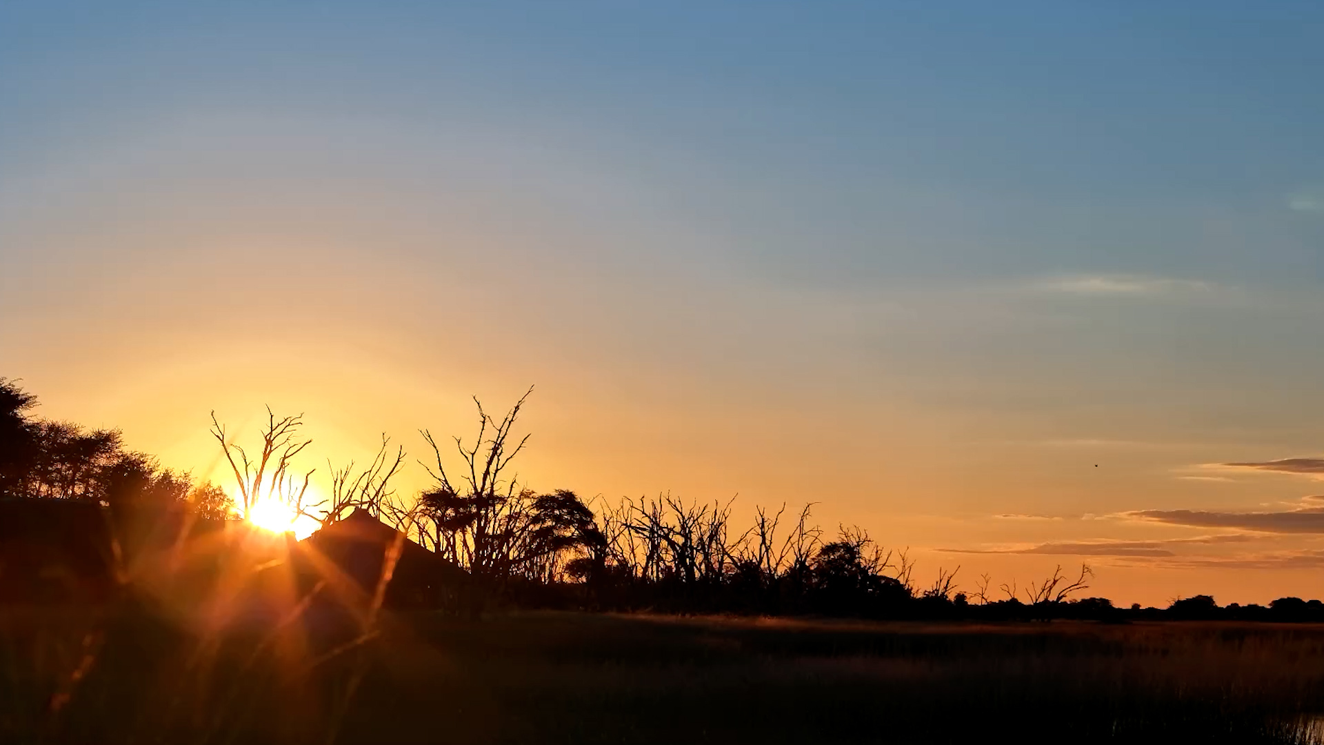 Sunset Serenity at the Hide