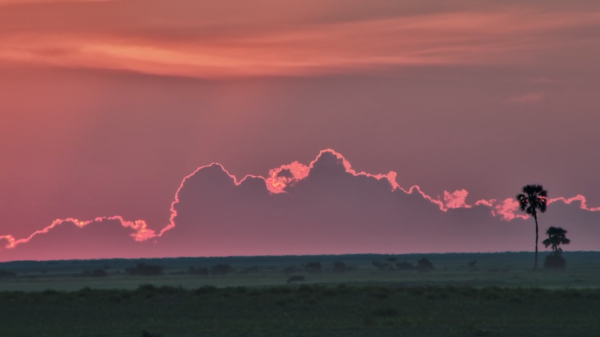 A Breathtaking Sunset at Jack’s Camp