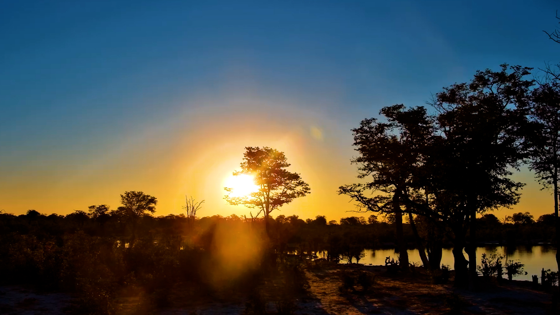 The Golden Hour at Elephant Pan