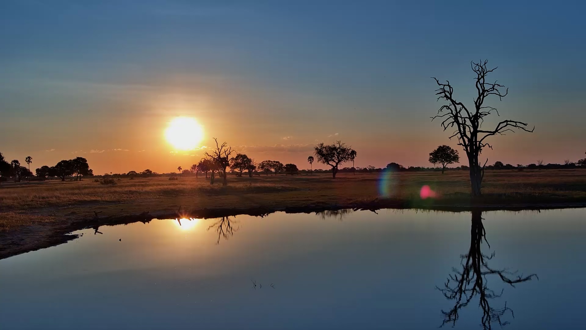 Linkwasha Waterhole Glow