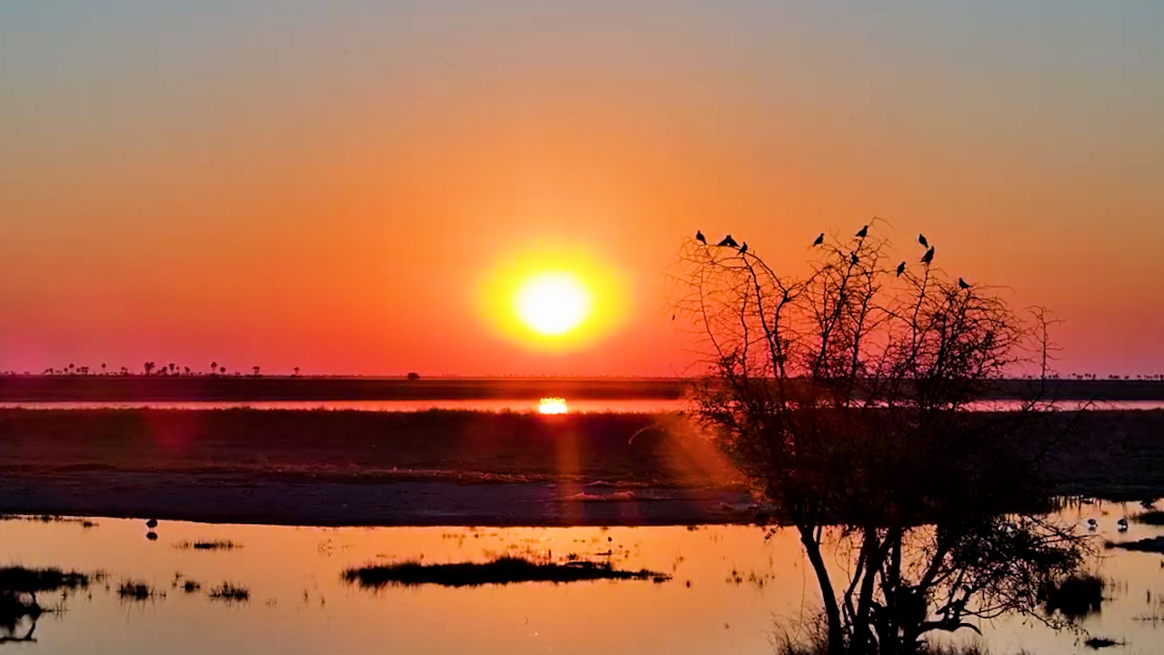 Sunset Falls Over Jack’s Camp