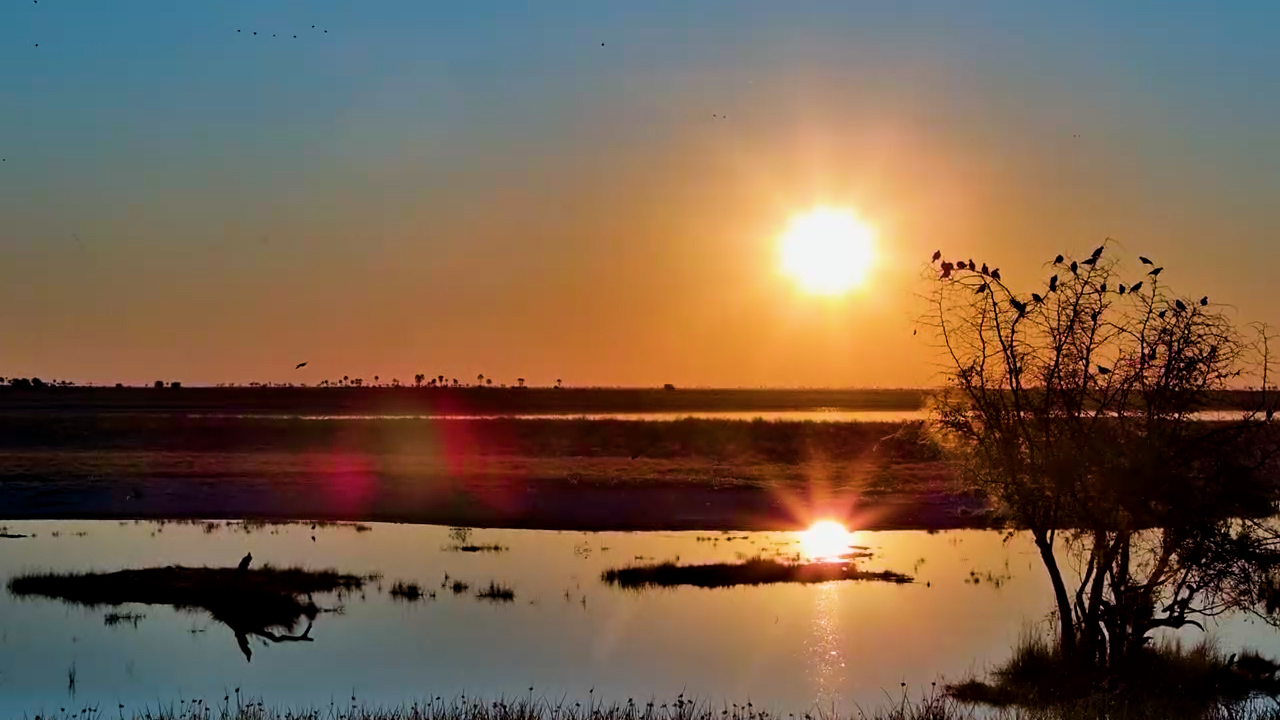 When the Makgadikgadi Falls Quiet