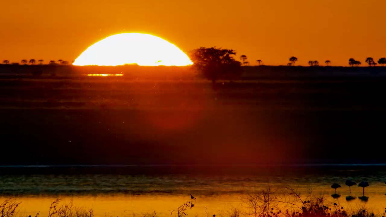 The Last Light Over the Kalahari