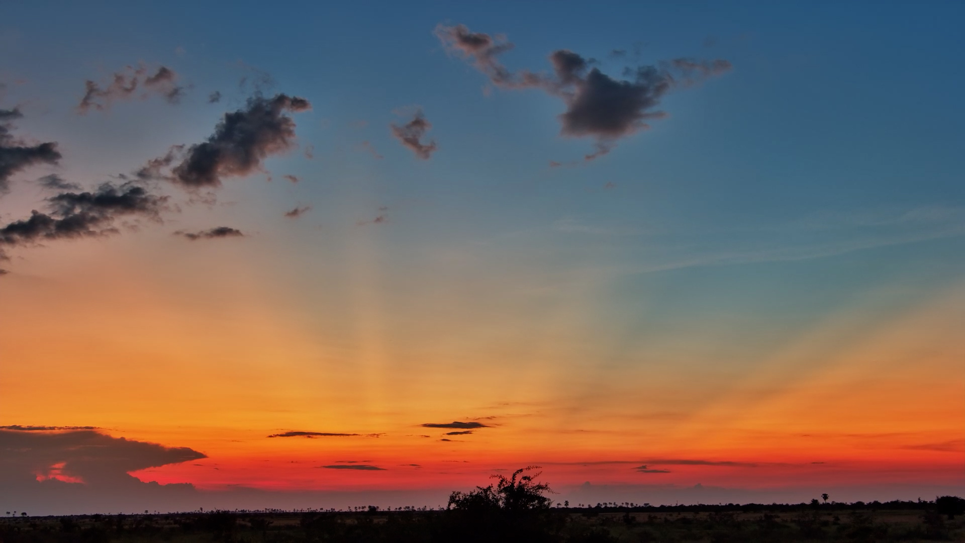 Painted Skies at Kalahari Salt Pan