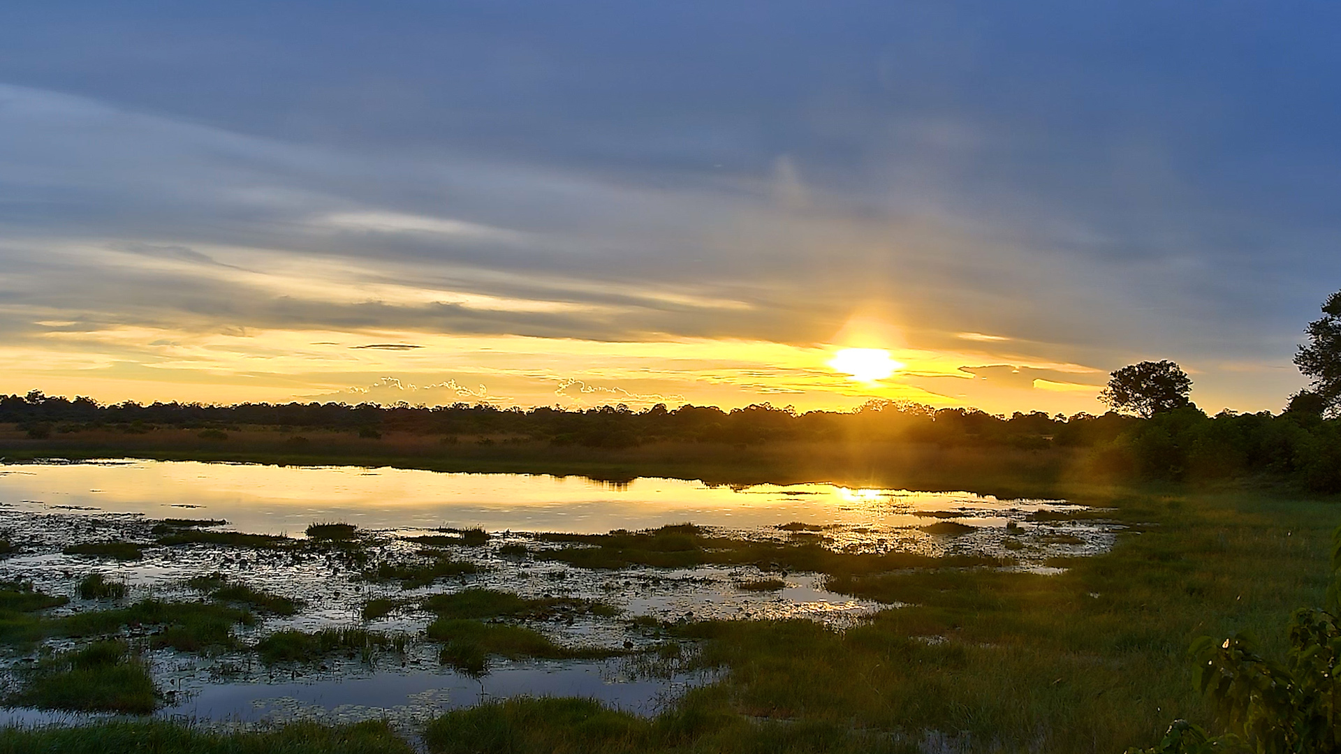 When the Basin Turns to Gold