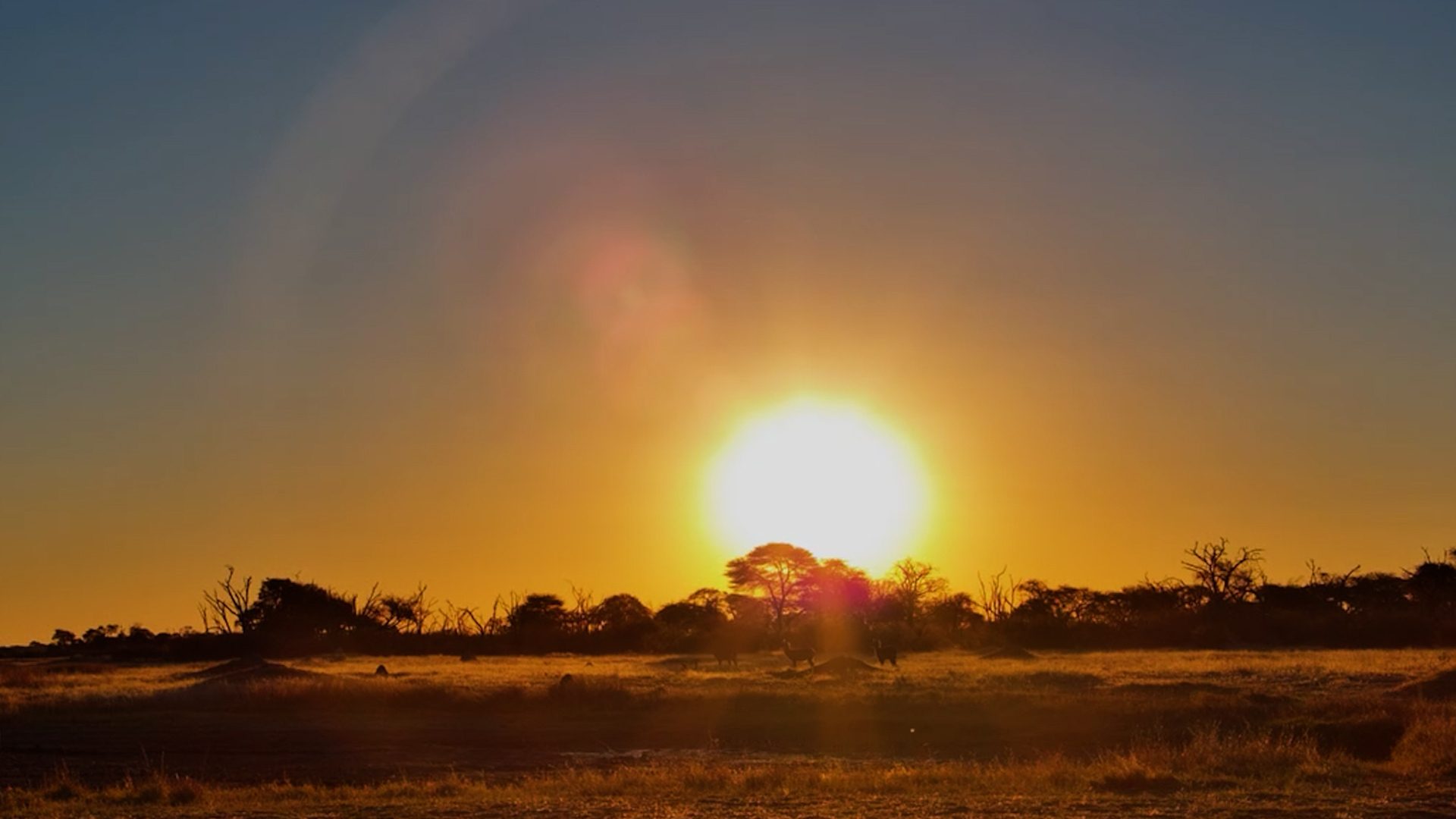 A Sunset You'll Want to Replay