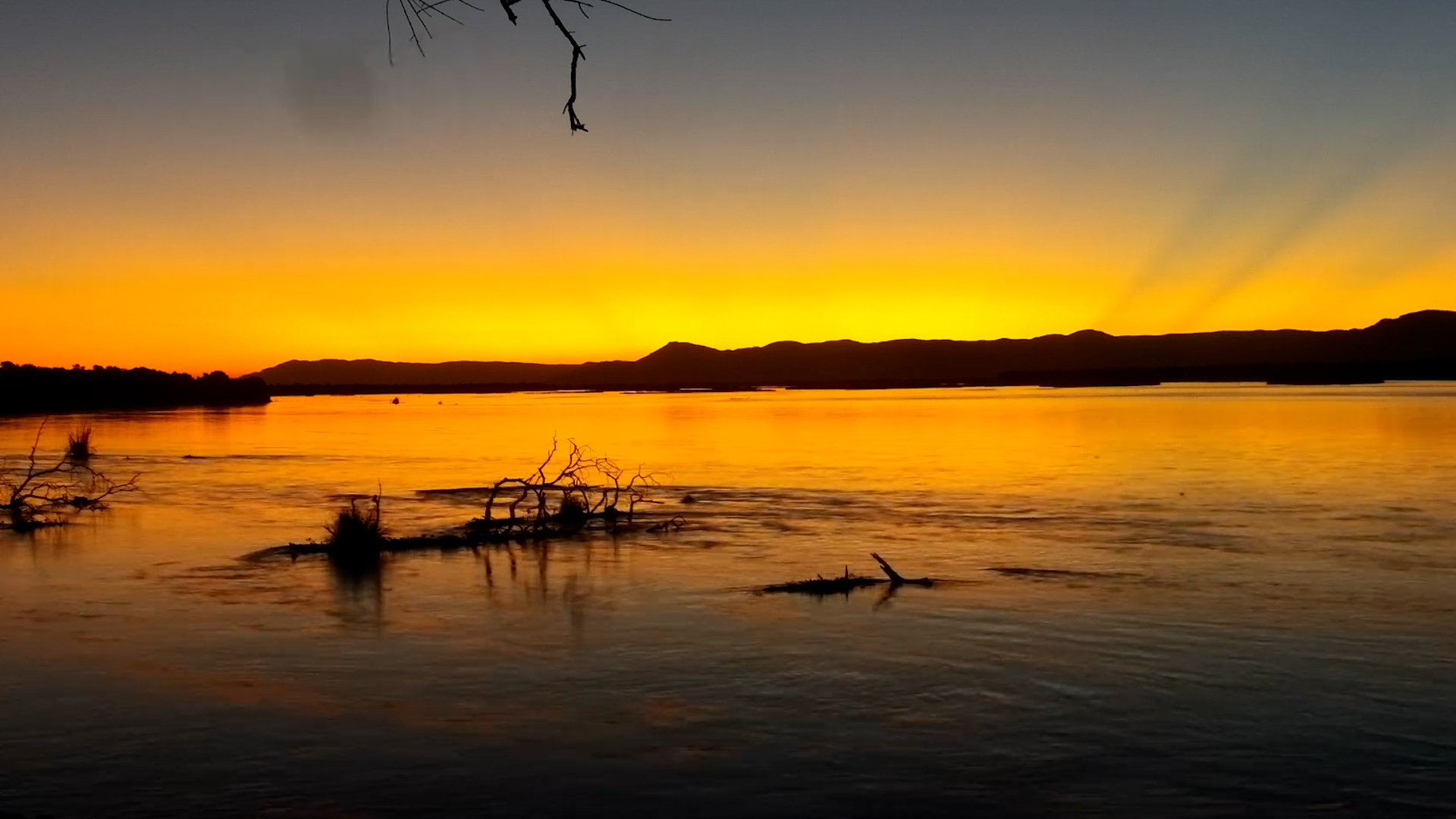 Nature’s Evening Show