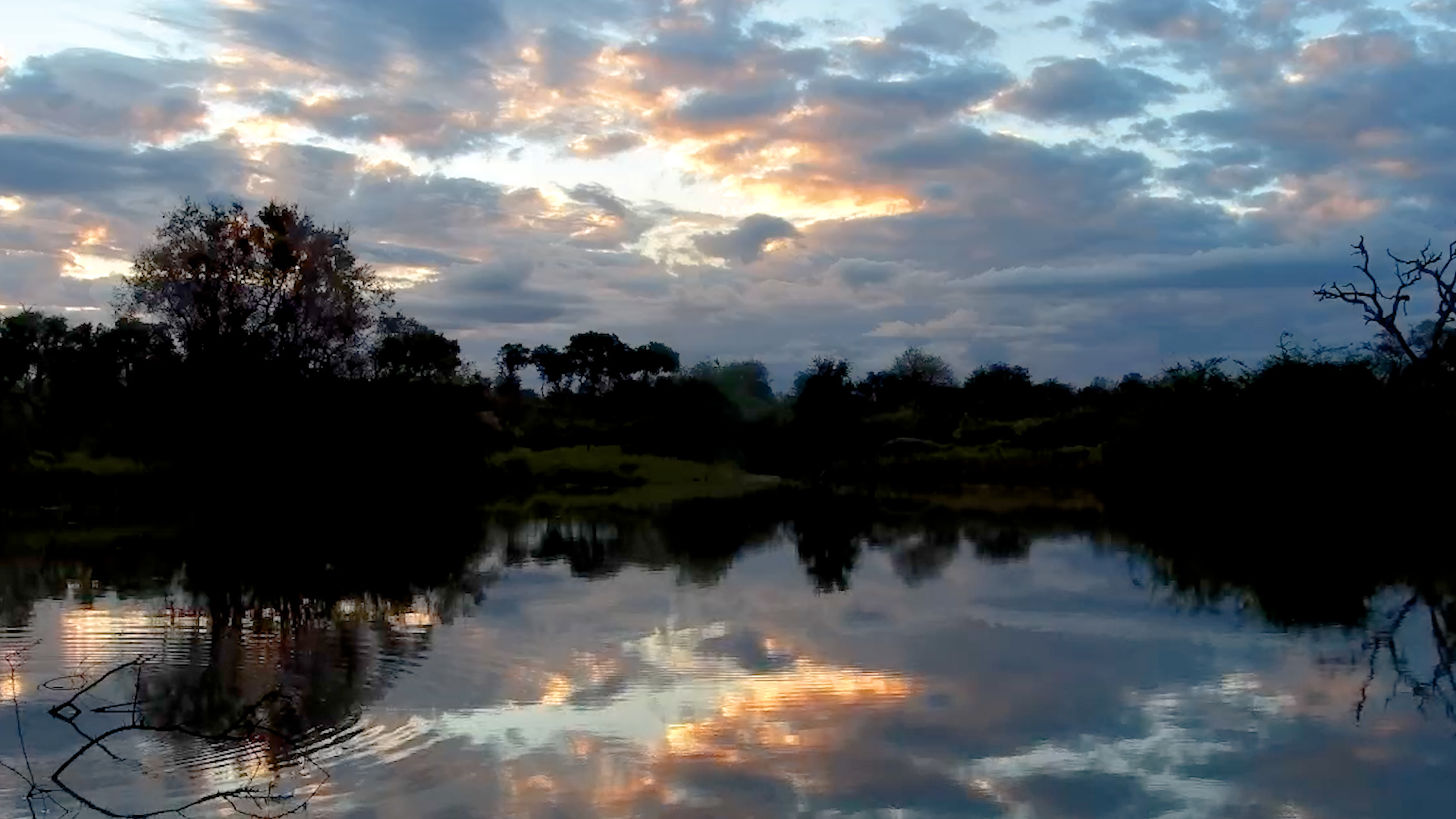 A Quiet Reflection Over the African Wilderness