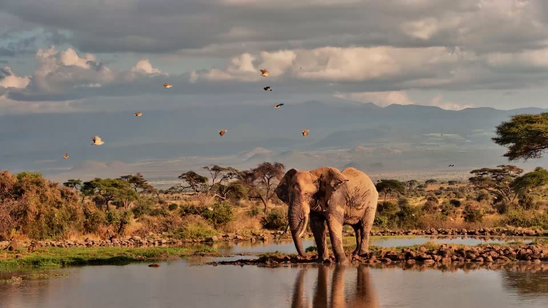 Nature's Perfect Timelapse