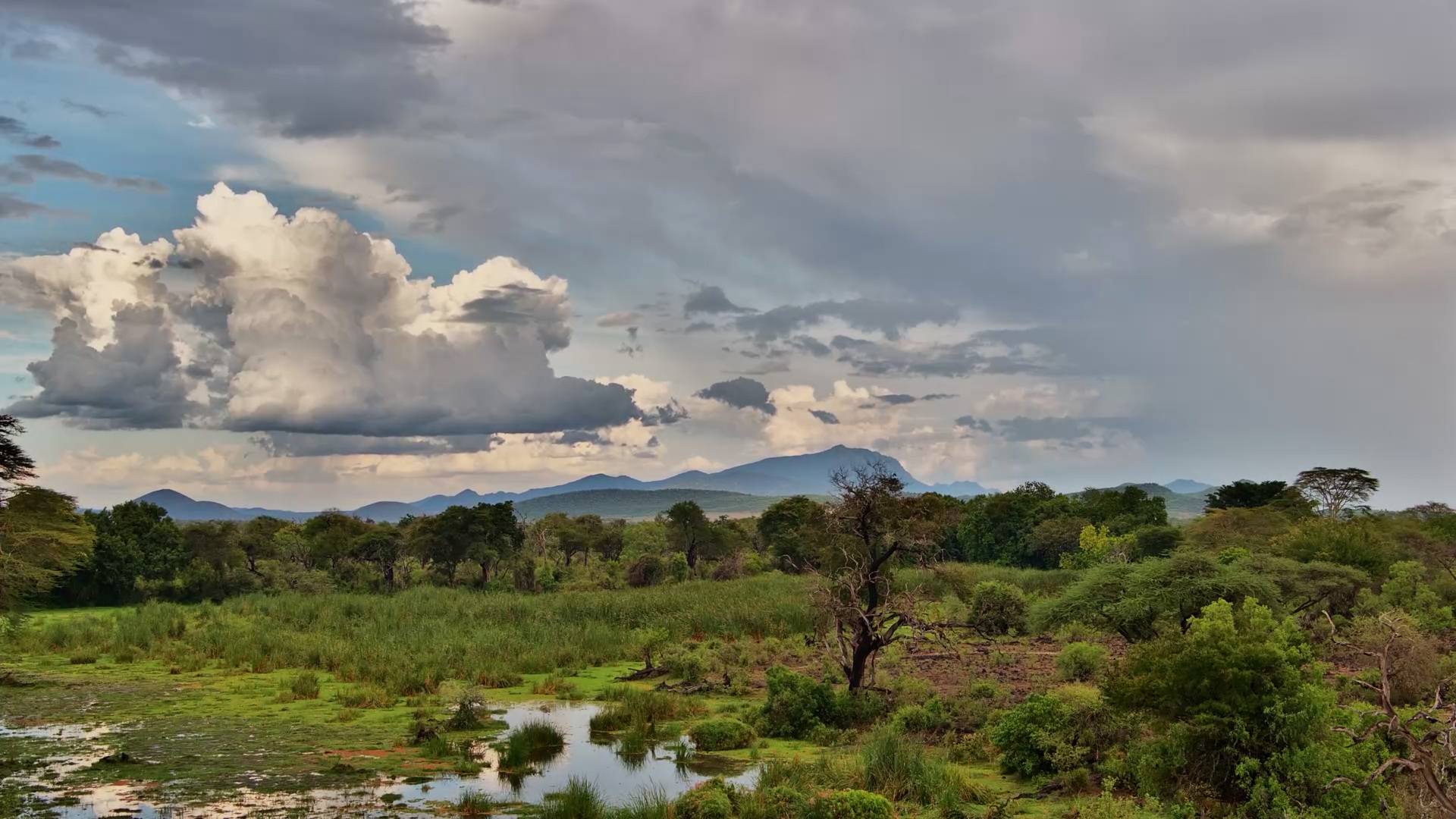 Clouds Dance Over Finch Hattons