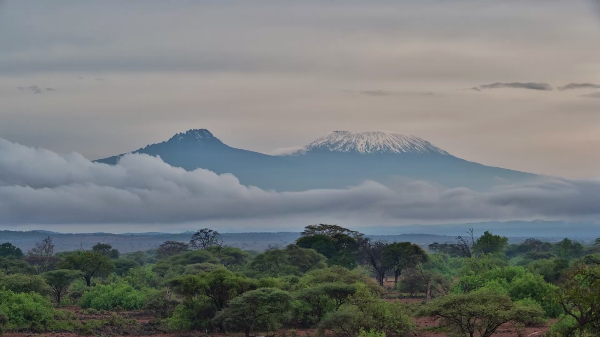 Mount Kilimanjaro in Motion