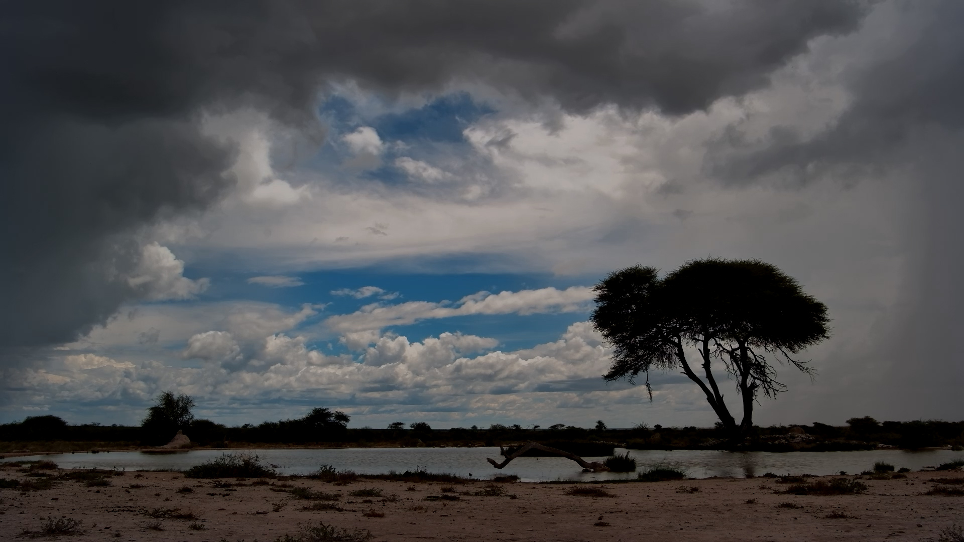 Storm Brewing Over Etosha