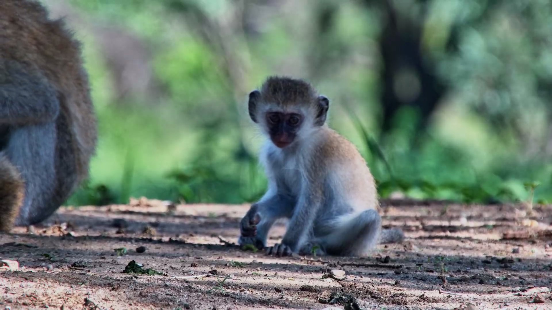 Personal Space Denied… Mum’s Got Company