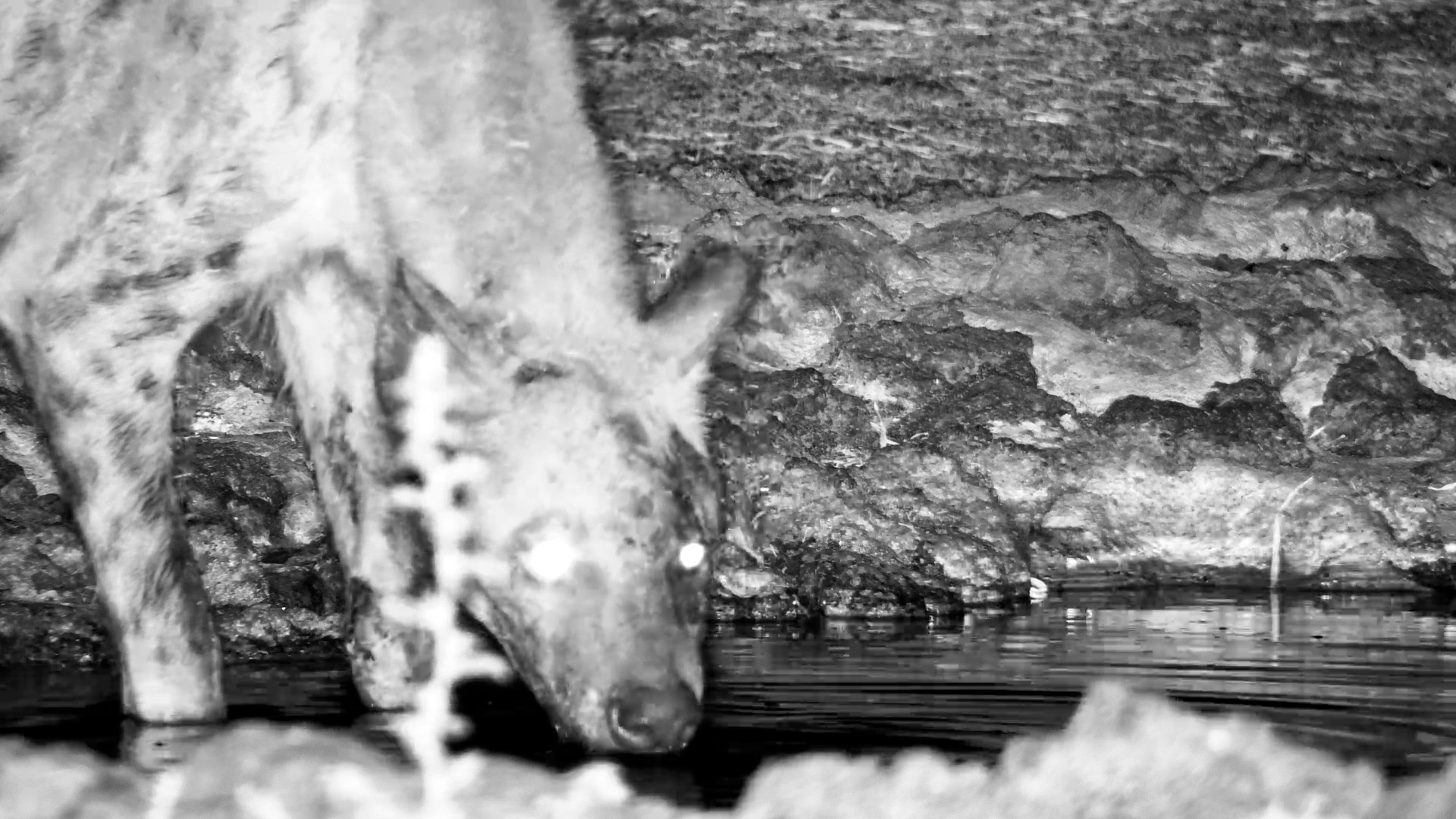 This Is What Survival Looks Like