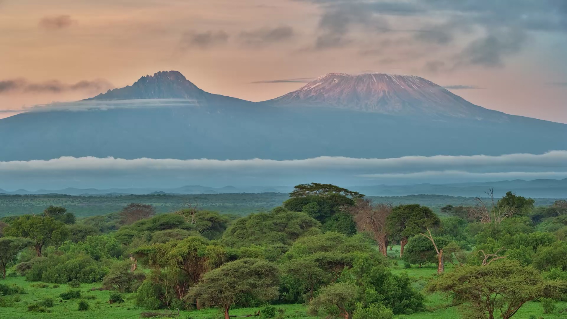 A Perfect View of Africa’s Icon