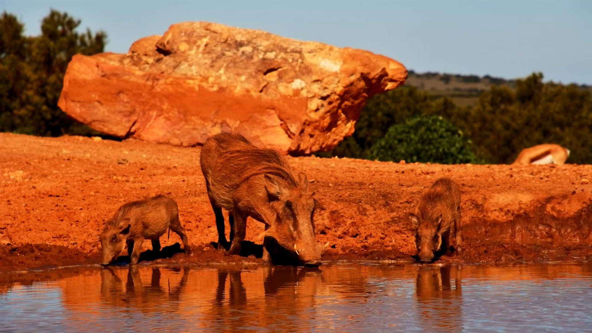 Mud, Drinks & Mischief!