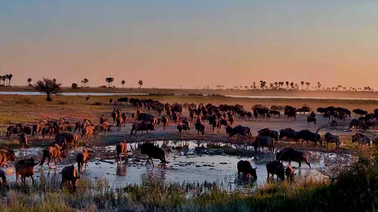 The Perfect Ending to a Safari Day