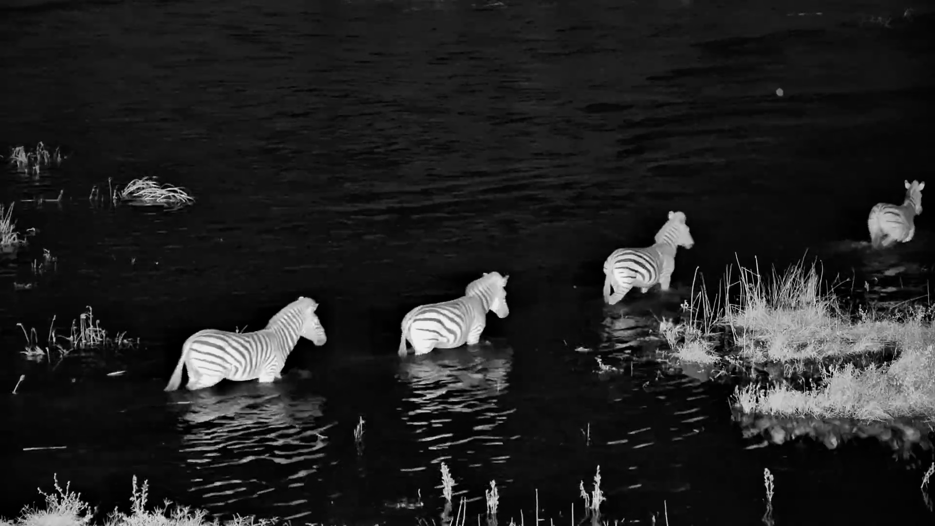 Swimming Through Total Darkness