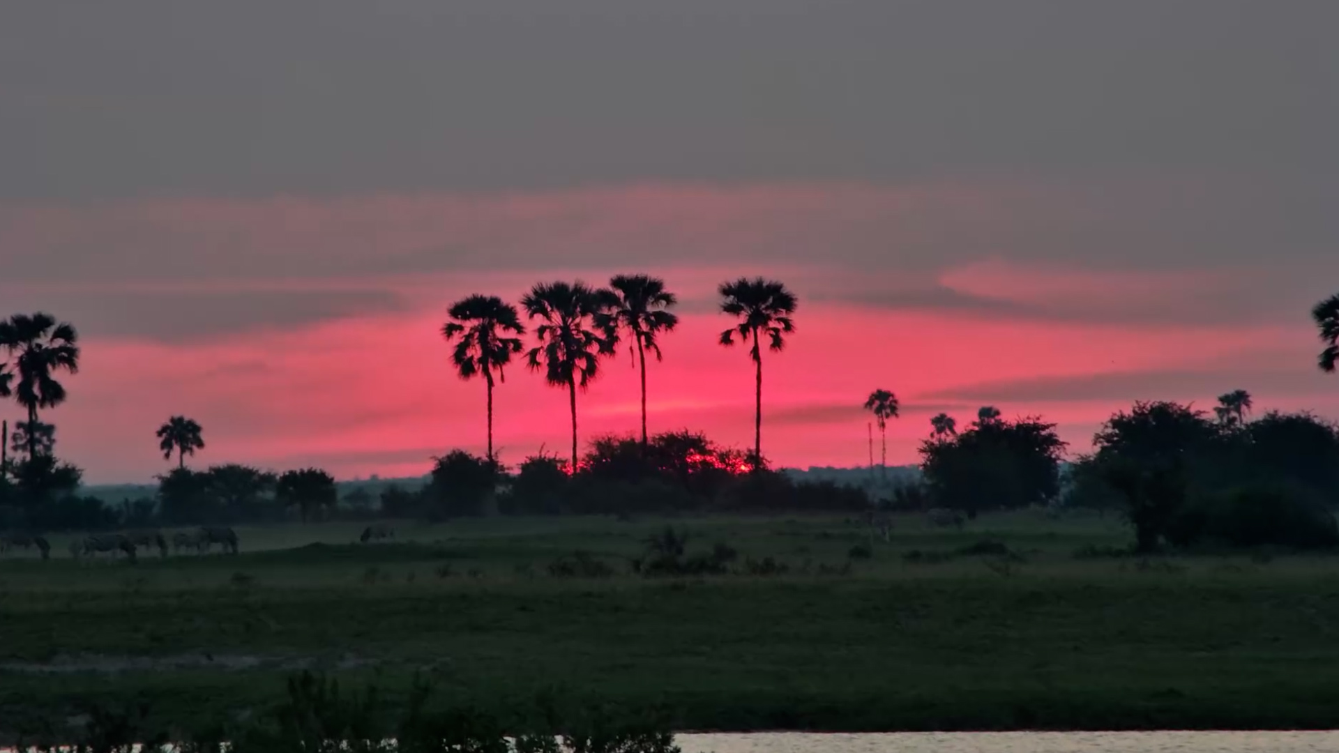 Stripes in the Sunset