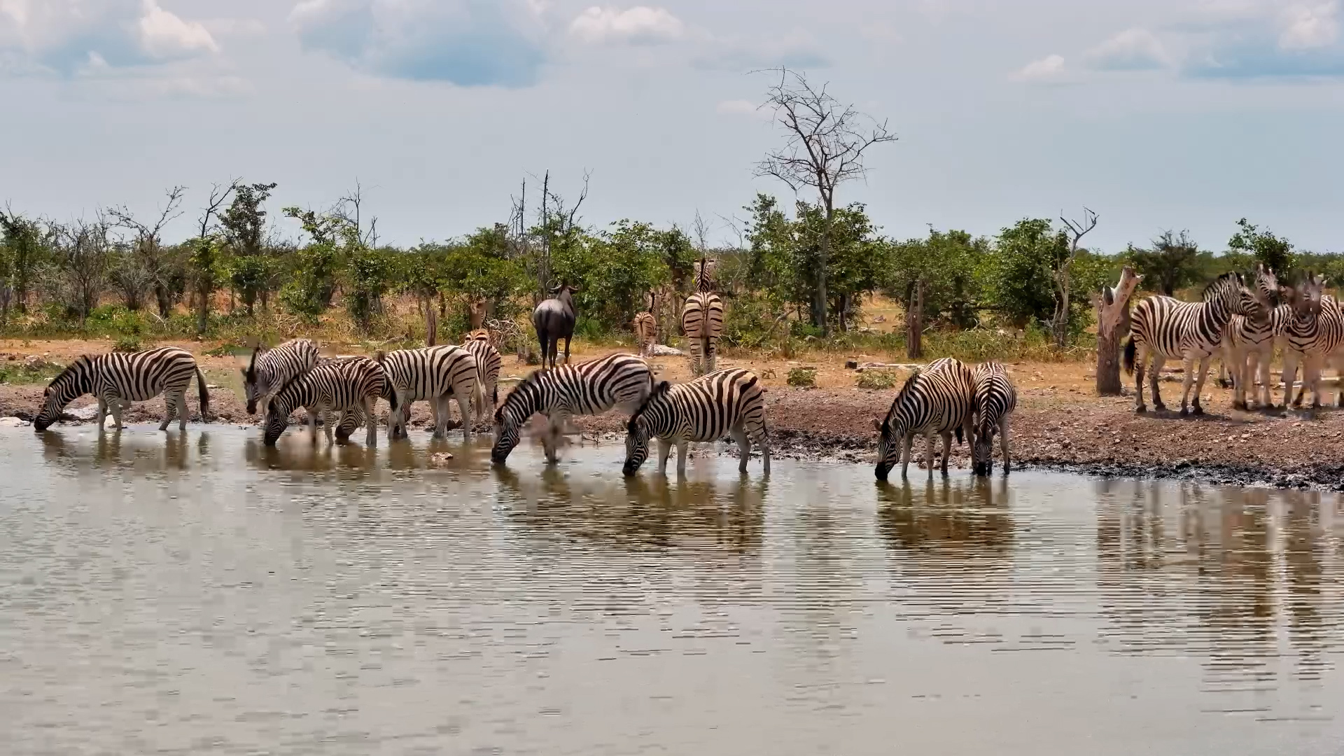 From Calm to Chaos in Seconds